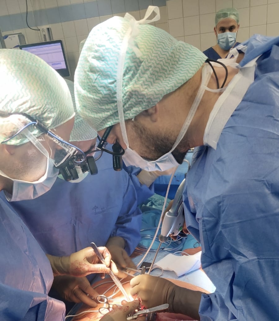 dr danko grujić edukuje strance